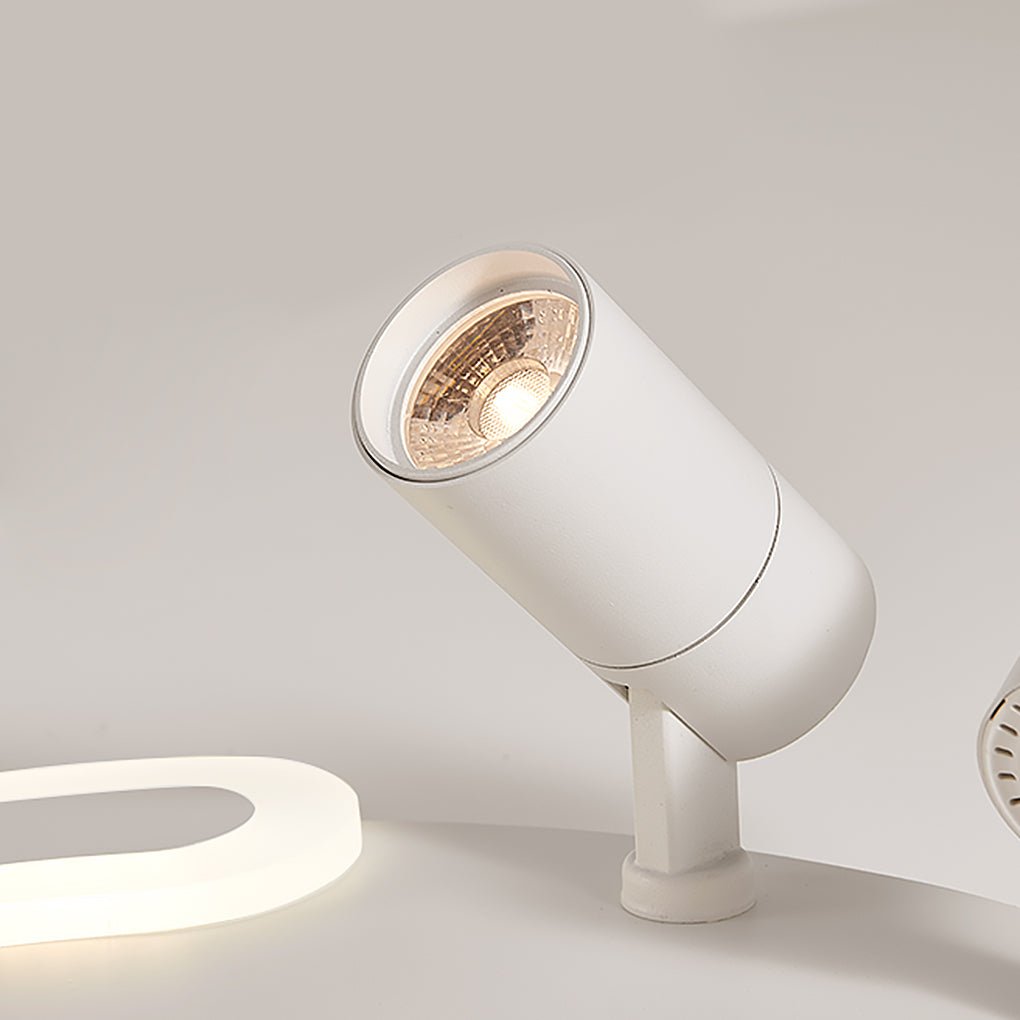 White Arc Flush Mount Ceiling Light with Adjustable Spotlight