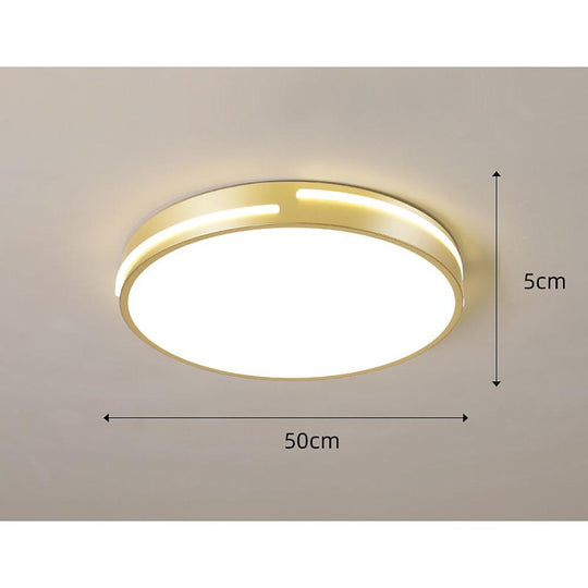 Minimalist Round Dimmable LED Gold Modern Flush Mount Ceiling Light