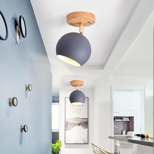 Semicircular Metal LED Rustic Adjustable Pendant Light