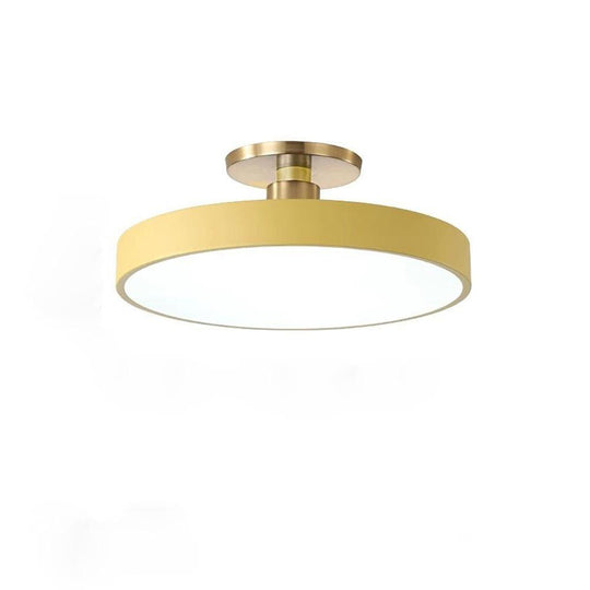 Thick Circular LED Flush Mount Ceiling Light