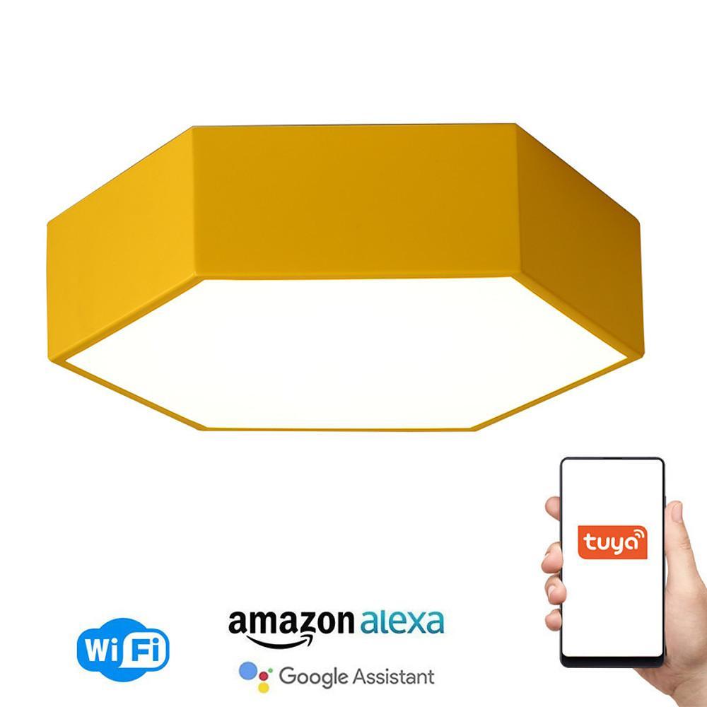 Geometric Shaped LED Wireless Control Modern Ceiling Light – Flush Mount Design